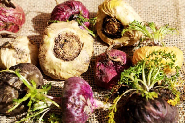 diferenca entre maca vermelha amarela preta 2025